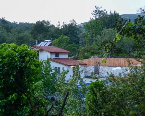 Villa Botanik в Калкане: вилла с бассейном и барбекю