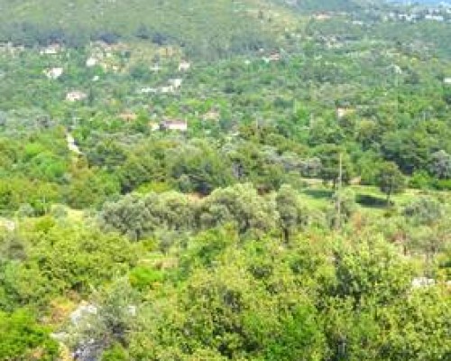 Villa Atilgan в Калкане: что важно знать перед бронированием