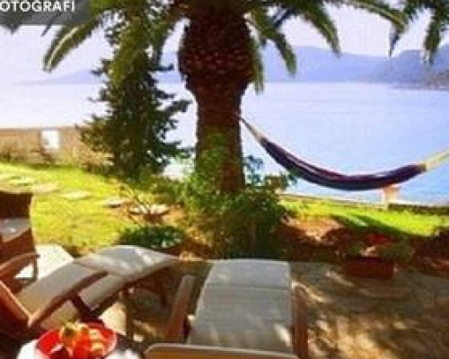 Villa Palm House-Club Patara Evleri, Калкан — что это за отель
