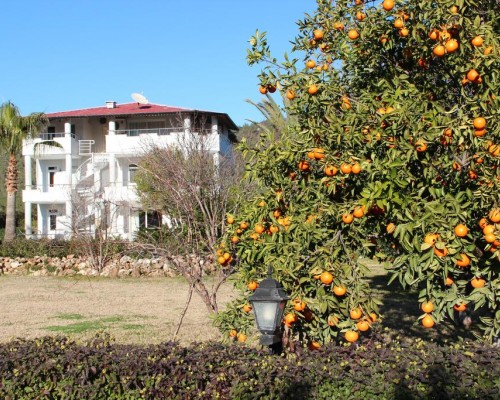 Green Garden Villa, Гёйнюк — подбор тура с персональным агентом