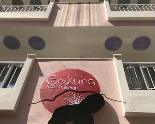 Sakura Suit Hostel в Фетхие: честный обзор
