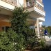 Zeytin Apart Hotel, Чешме — апарт-отель без официальной категории