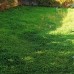 Dalyan Holiday Home, Чешме: что это за отель и кому он подойдёт