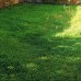 Dalyan Holiday Home, Чешме: что это за отель и кому он подойдёт