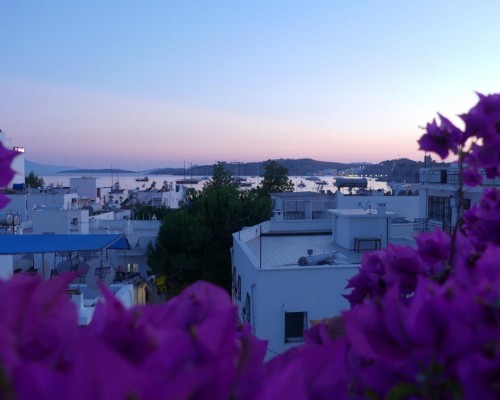 Eskici Hostel Bodrum — бюджетный вариант в Бодруме