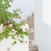 Costa Sariyaz Hotel, Бодрум: честный обзор и подбор тура