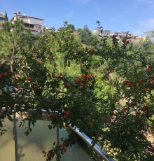 Akdeniz Apart Hotel