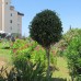 Elite Country Club 1+1, Авсаллар: апартаменты для спокойного отдыха