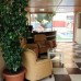 Отель Elegant Baronessa в Аланье — подбор тура с турагентом Галиной