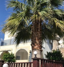 Alanya Jasmin Park Villa