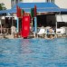 Didyma Apollon Hotel в Дидиме — честный обзор отеля