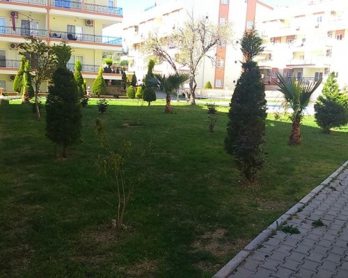 Apollon Apartment в Дидиме: апартаменты для пляжного отдыха