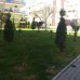 Apollon Apartment в Дидиме: апартаменты для пляжного отдыха