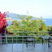 Rexene Resort 4* в Гюмбет: честный обзор от турагента