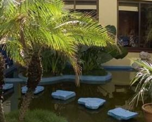 Oasis Hotel 2* в Варадеро — что важно знать перед бронированием