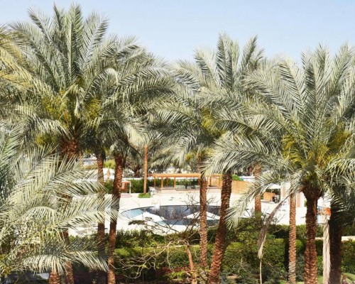 Ghazala Beach Resort 4* — отель на первой линии в Шарм-эль-Шейхе