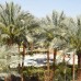 Ghazala Beach Resort 4* — отель на первой линии в Шарм-эль-Шейхе