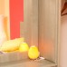 Seckin Best 2* в Бодруме: честный обзор для подбора тура