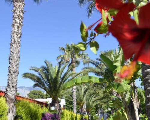 Emelda Sun Club 5* (Чамьюва, Кемер): мой экспертный обзор