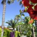 Emelda Sun Club 5* (Чамьюва, Кемер): мой экспертный обзор