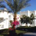Sonesta Club 4* — Шарм-эль-Шейх, Наама-Бей