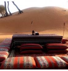 Bedouin Oasis Camp