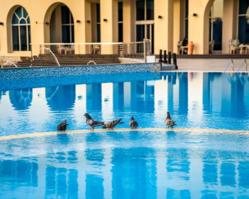 Millennium Lakeview Hotel 4* в Дубае