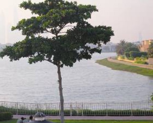 Medlock Villas