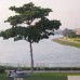 Medlock Villas