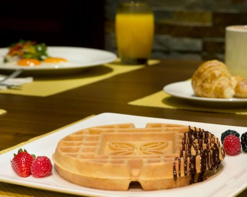 Hilton Garden Inn Dubai Al Muraqabat 4* — отель в Дубае