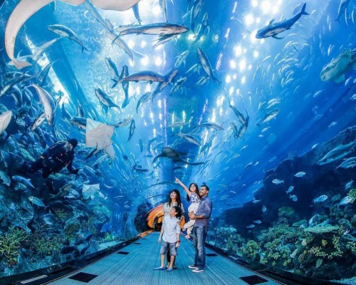 Rove Downtown Dubai — отель 3* в Даунтауне Дубая