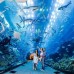 Rove Downtown Dubai — отель 3* в Даунтауне Дубая