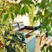 Отель Elif 3* в Ичмелере, Мармарис