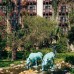 Selectum Family Resort Belek 5* — семейный отдых в Белеке