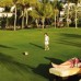 Palm Tree Court 5*