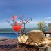 Ocean Front Hotel 3* в Муйне