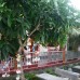 Minh Anh Garden Hotel, Муйне: что известно и кому подойдёт