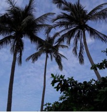 Bach Duong Hotel 2*