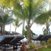 Rang Garden Beach Side — уютный отель в Муйне у самого моря