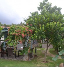 Evergreen Resort 2*