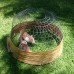 Cat Sen Auberge в Муйне: гестхаус с бассейном и общей кухней