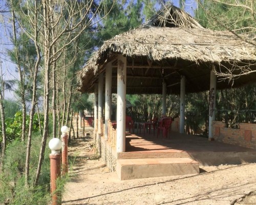 Dong Hai Resort в Муйне: что важно знать перед бронированием