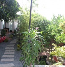 Mui Ne Garden