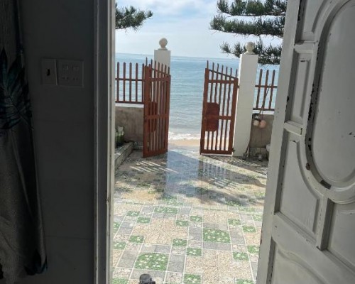 Thien Son Guesthouse, Муйне: обзор гостевого дома