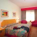 Avari Dubai 4*