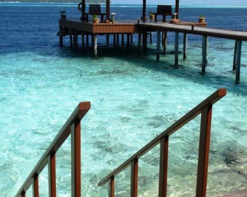 Ranveli Island Resort 4* на Ари Атолле: что важно знать перед бронированием