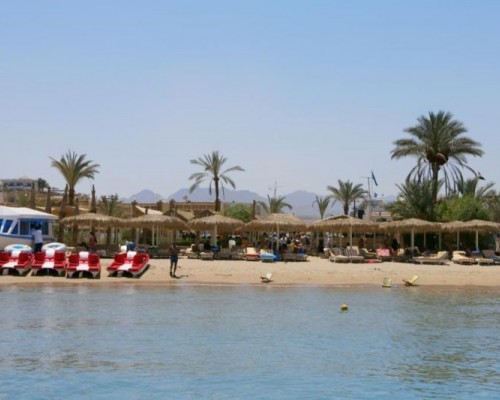 Tropicana Jasmine Club 4* в Шарм-эль-Шейхе