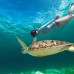 Sun Shine View 3* — гестхаус на Маафуши для дайвинга