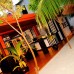 Equator Beach Inn 3* — Маафуши, Мальдивы