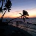 Equator Beach Inn 3* — Маафуши, Мальдивы